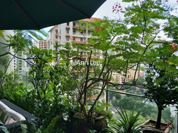 SKYPARK @ SOMERSET photo 4