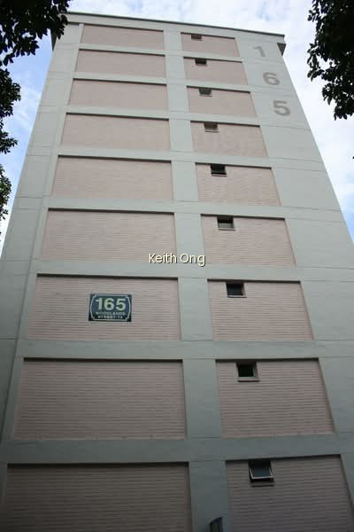 165 WOODLANDS STREET 13 photo 5
