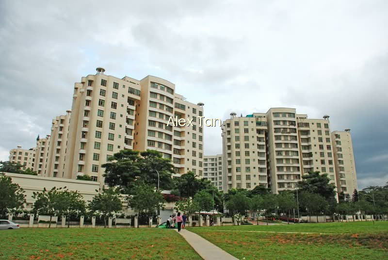 NORTHVALE photo 5