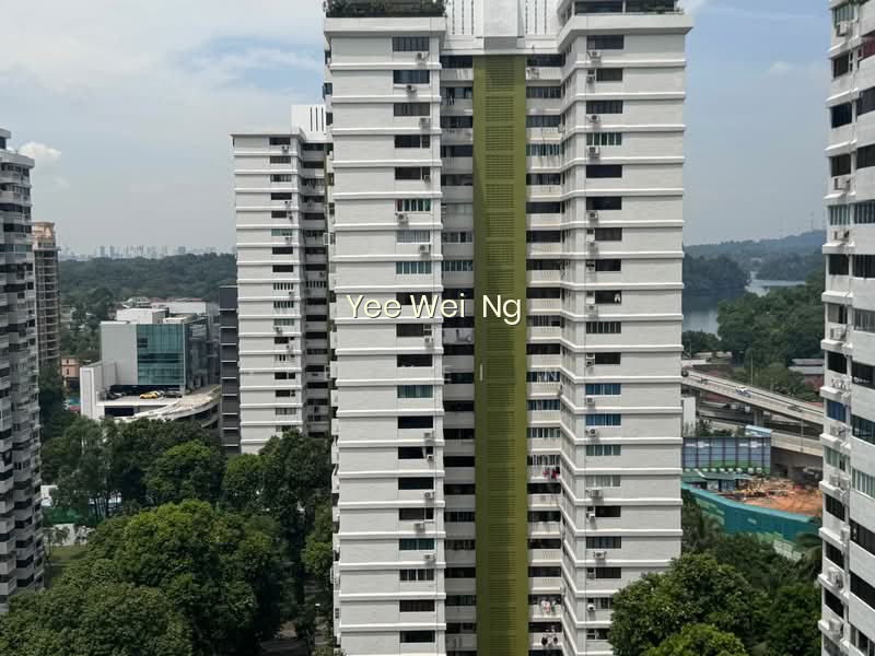 BRADDELL VIEW photo 3
