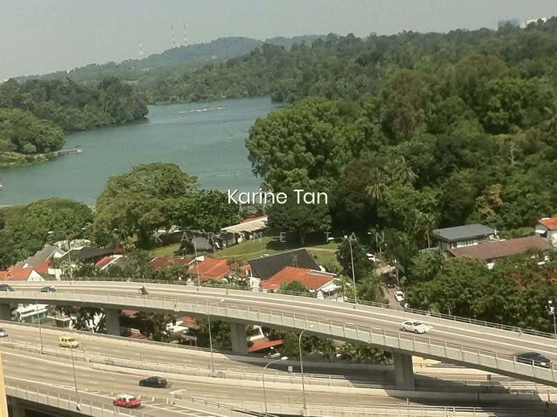 BRADDELL VIEW