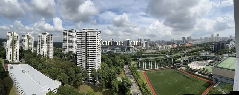BRADDELL VIEW photo 5