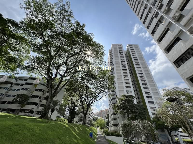 BRADDELL VIEW photo 6