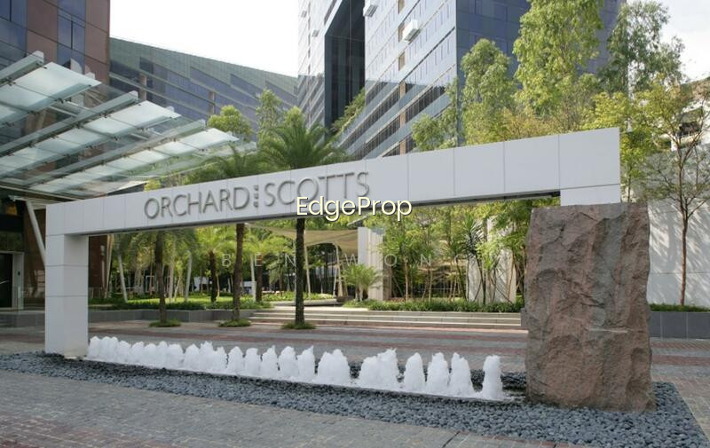 ORCHARD SCOTTS photo 6