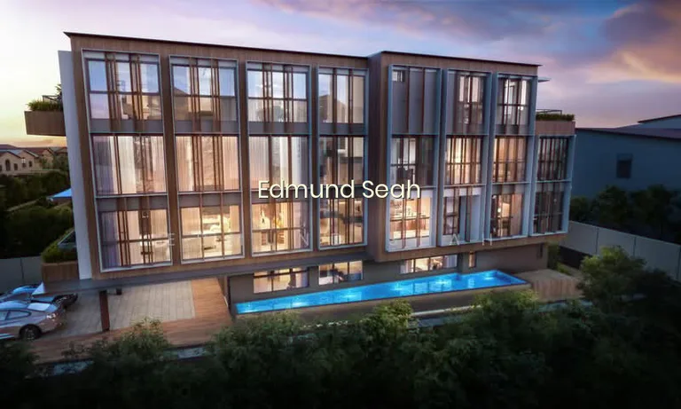 Braddell Heights Brand New Fh Detached image 1 of 10