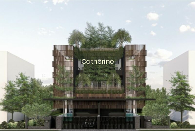 ★EMINENCE LANDED★BRAND NEW SEMI-D @ STEVENS MRT, ROBIN WALK ROBIN CLOSE photo 6