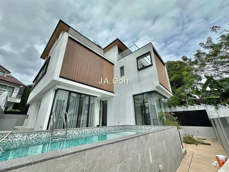 Freehold Newly Built Detached at Bukit Timah image 1 of 10