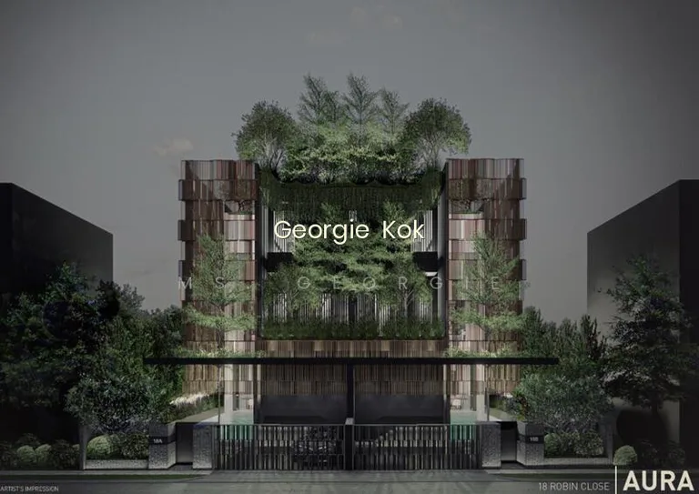District 10 Brand New Semi-Detached Minutes to Stevens MRT image 1 of 9