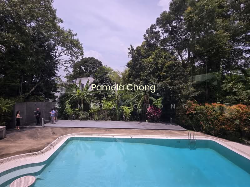ATTRACTIVE $18XX PSF CHARMING SWISS CLUB GCB GREENERY >40M FRONTAGE (顶级优质洋房) PAM 9022 8600 image 1 of 8