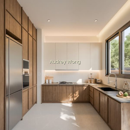BRAND NEW 3.5 STOREY SEMI-D @SIGLAP MRT, EAST COAST, BAYSHORE, ELLIOT ROAD VICINITY photo 5