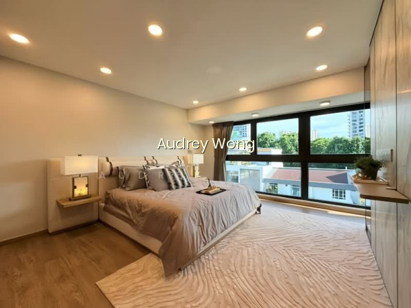 BRAND NEW 3.5 STOREY TERRACE @NOVENA THOMSON ROAD SHREWSBURY ROAD NOVENA MRT photo 4