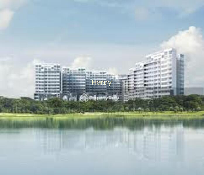 SKIES MILTONIA photo 2