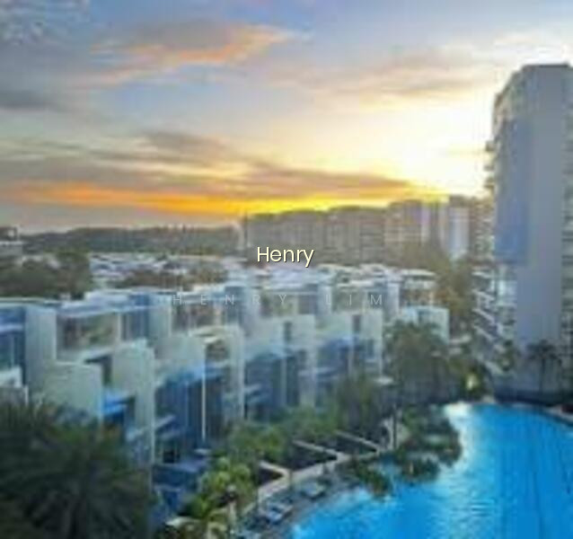 SKIES MILTONIA photo 5