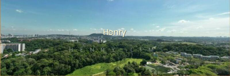 PINETREE HILL photo 4
