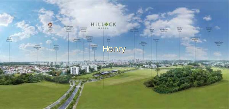 Hillock Green photo 2