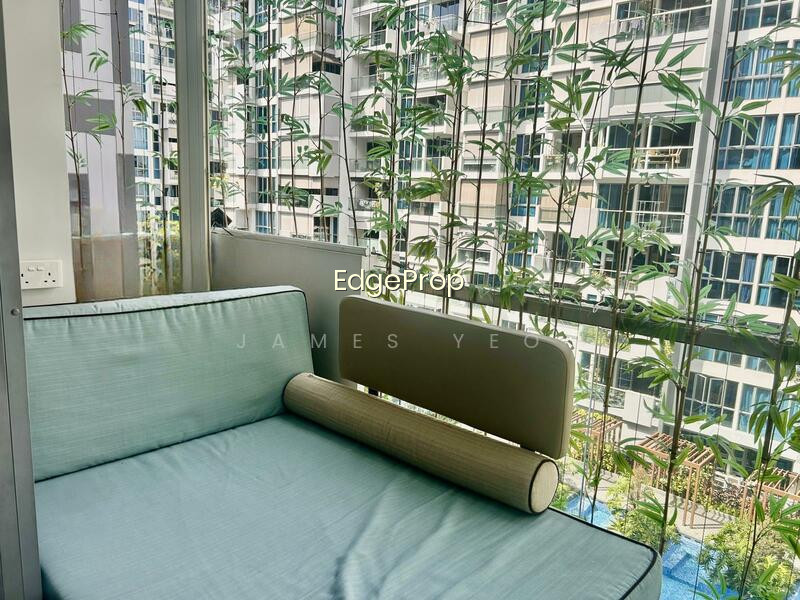 THE CANOPY photo 6