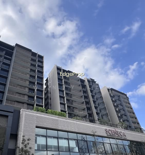 SCENECA RESIDENCE photo 3