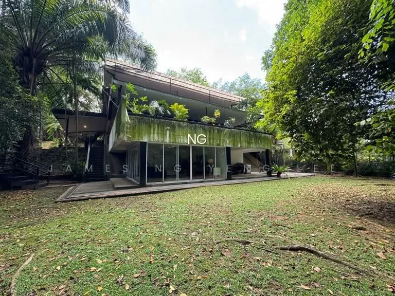 Wide Frontage Dalvey/Nassim/White House. Mins to Steven Mrt. 地十 邮 区，洋 房 打折出 售. James Ng 83839800 image 1 of 4