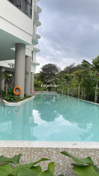 COASTLINE RESIDENCES photo 4