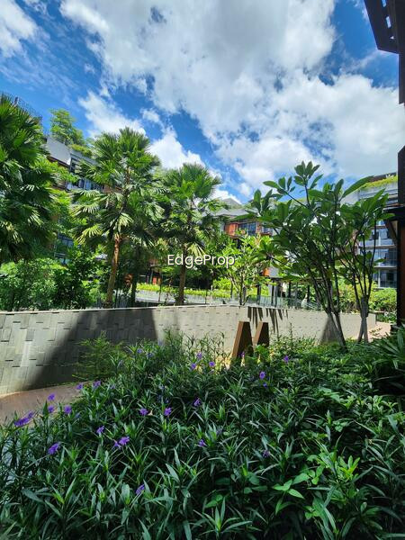 DAINTREE RESIDENCE photo 5