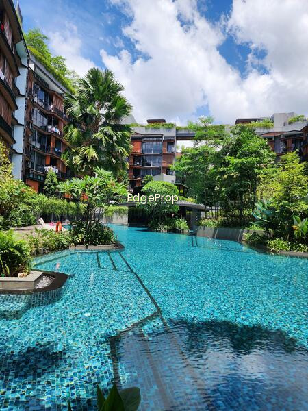 DAINTREE RESIDENCE photo 6