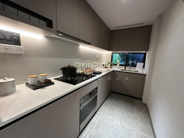 SPRINGLEAF RESIDENCE photo 6