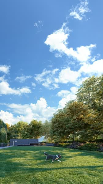 Amber House photo 3