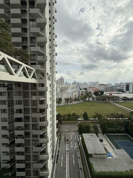 SKY HABITAT photo 5