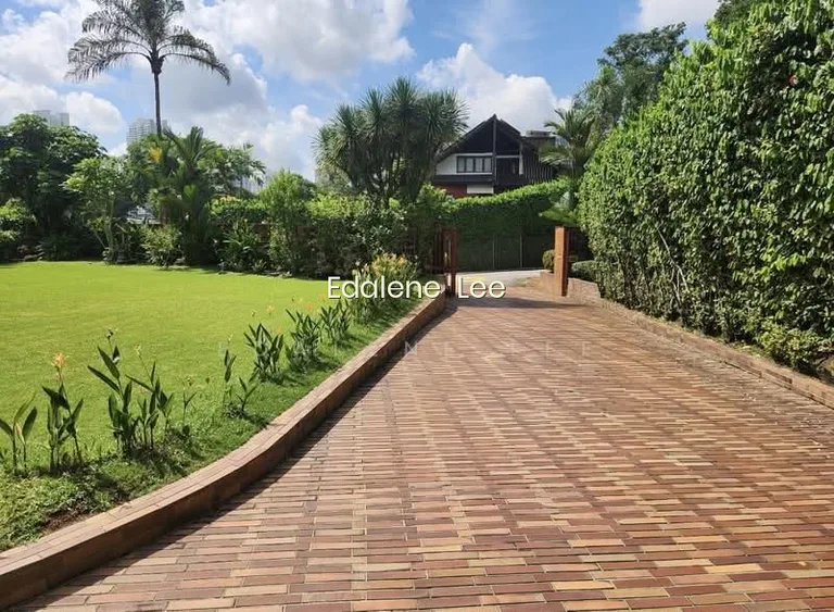Olive Road image 1 of 5