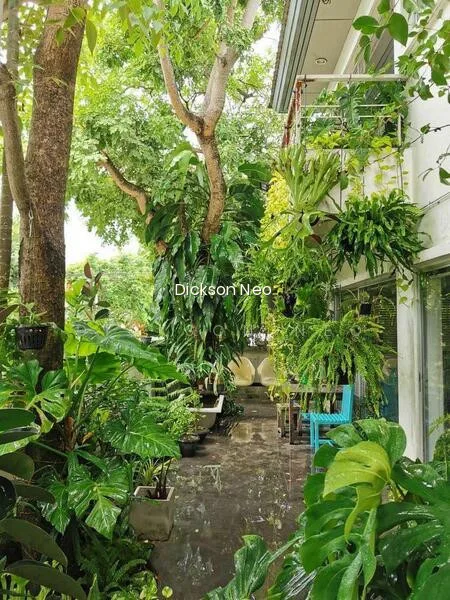 Good Class Bungalow. Beautiful Flat Plot 富豪最爱的优质洋房 Dickson 9488.40.80 image 1 of 5