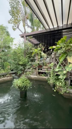 MING PARK photo 5