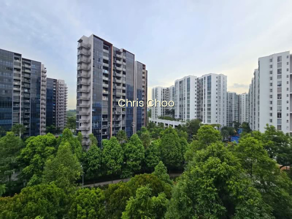 480 JURONG WEST STREET 41 photo 4