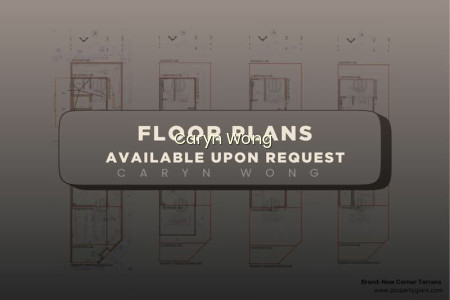 ❤️GIANT⚡️BRAND NEW RARE LUXURY FREEHOLD CORNER TERRACE W MEZZANINE, ATTIC & LIFT photo 5