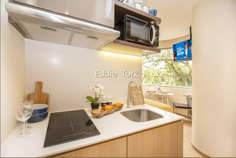 Coliwoo Orchard Near Paragon, Takashimaya, Ion Orchard, 313 Somerset and MRT Stations photo 2