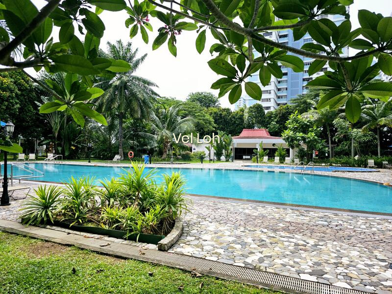 Laguna Park photo 6
