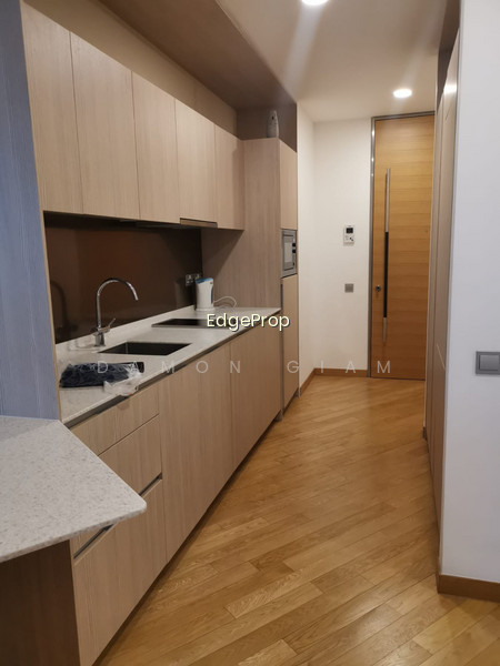 DUO RESIDENCES photo 4
