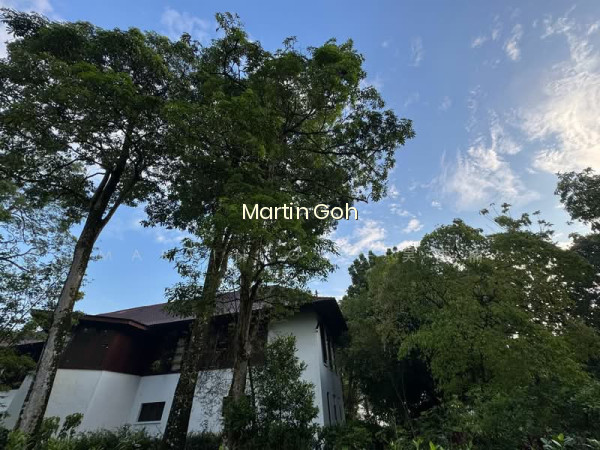 ⭐️ BINJAI PARK GCBA ⭐️ ELEVATED SQUARISH PLOT ⭐️REBUILD NEAR MRT ⭐️ photo 2