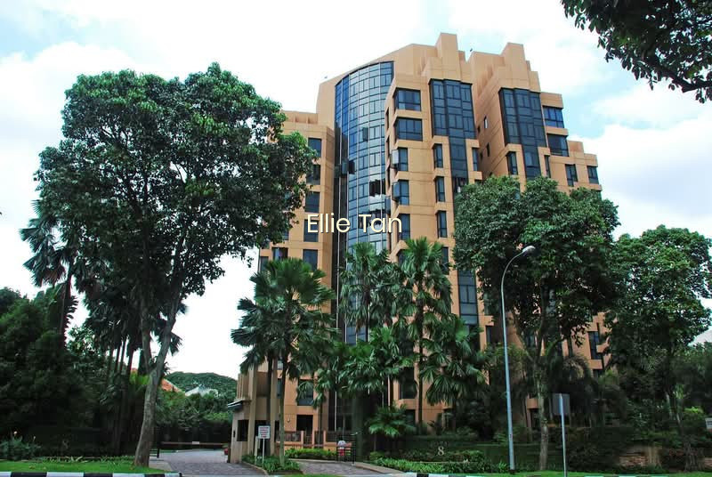 Bishan 8 photo 6