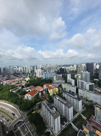 THE LANDMARK photo 2