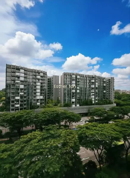 101A Bidadari Park Drive image 1 of 7