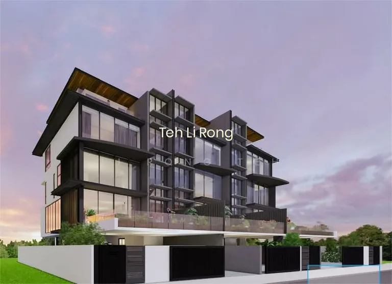 1KM to Tao Nan! Brand New Corner Home in D15! image 1 of 3