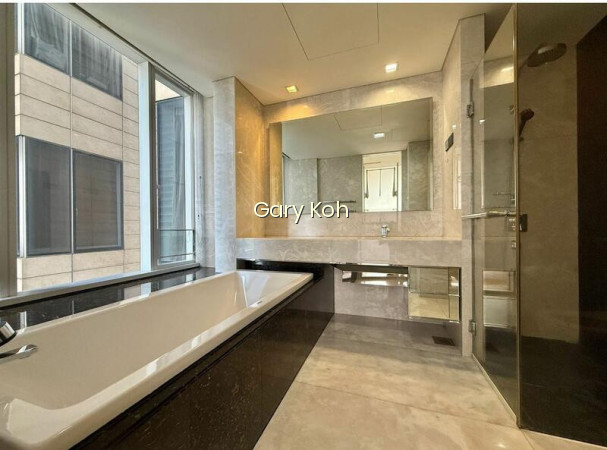 ST. REGIS RESIDENCES SINGAPORE photo 2
