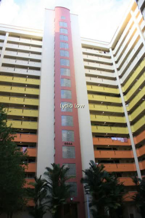 664A JURONG WEST STREET 64 photo 6
