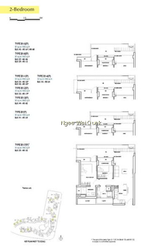 D'NEST photo 2