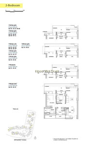 D'NEST photo 4