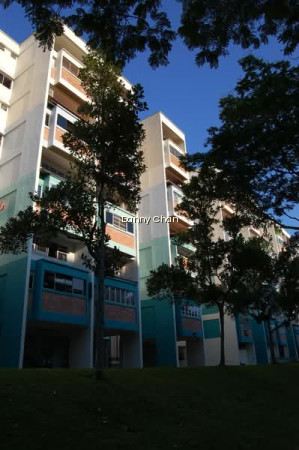 147 TAMPINES AVENUE 5 photo 5