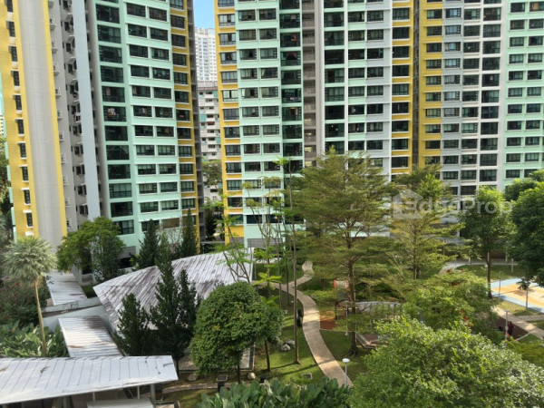 55 HAVELOCK ROAD photo 5