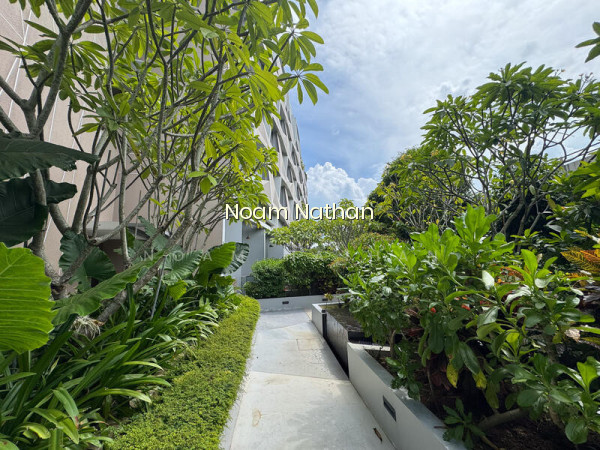 HARBOUR VIEW GARDENS photo 5