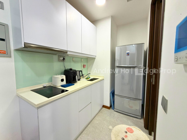 LAUREL TREE 8