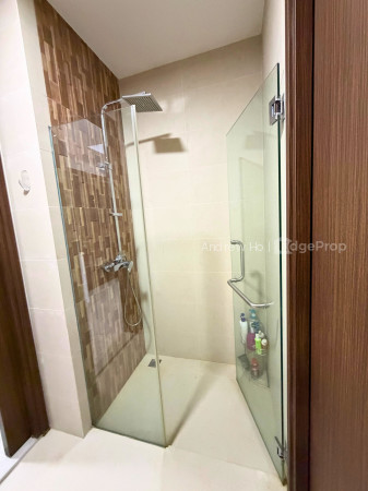 LAUREL TREE 10
